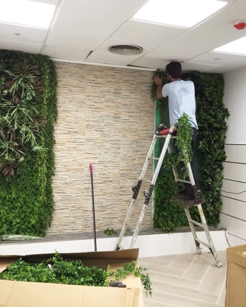 Muro verde natural terminado