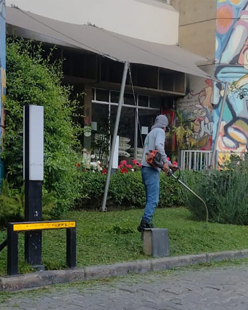 Especialista realizando mantenimiento de un jardín