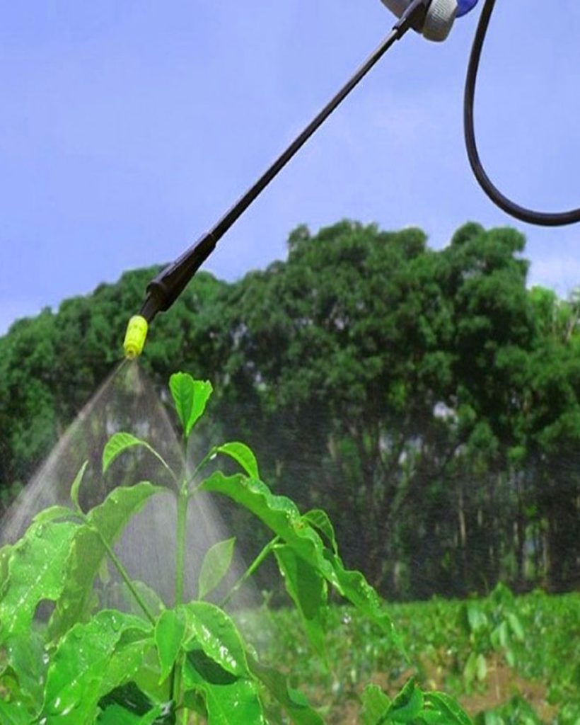 Especialista fumigando un jardín