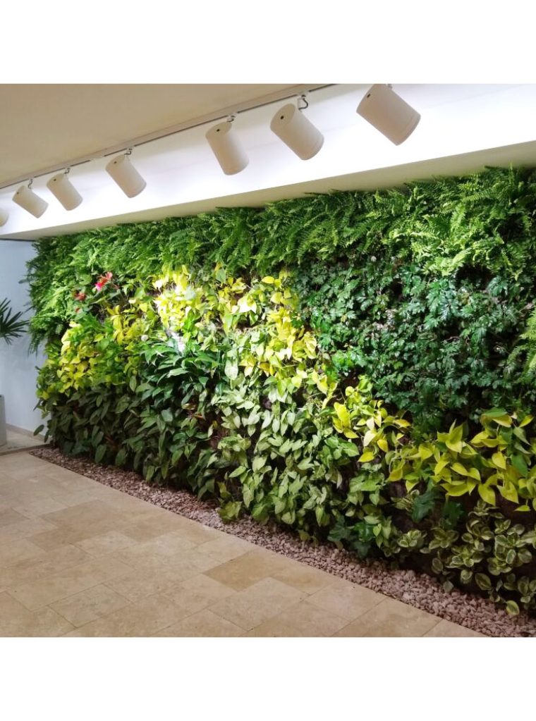 Instalación profesional de un jardín vertical
