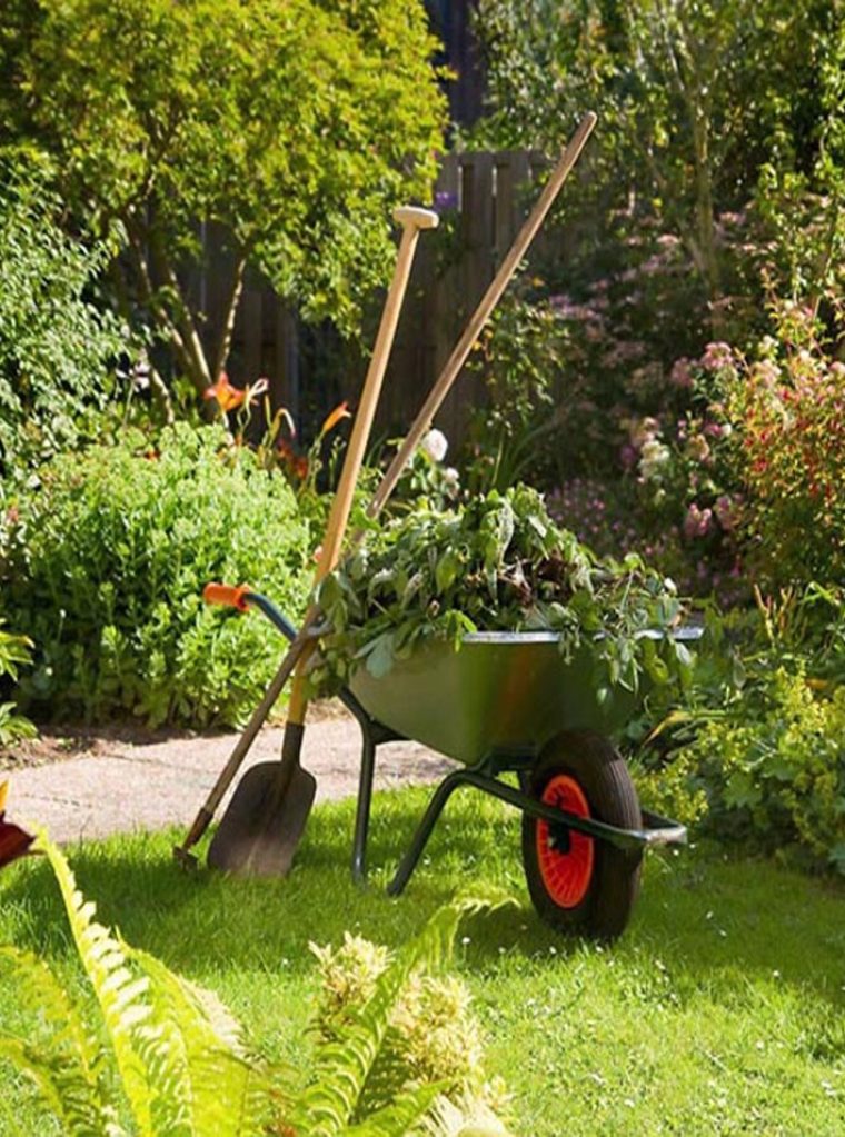 Herramientas y plantas para mantenimiento de jardines