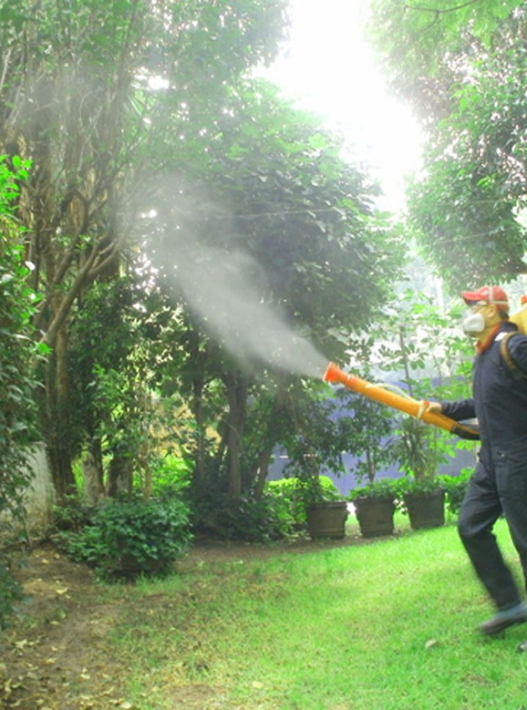 Fumigación dirigida sobre plantas