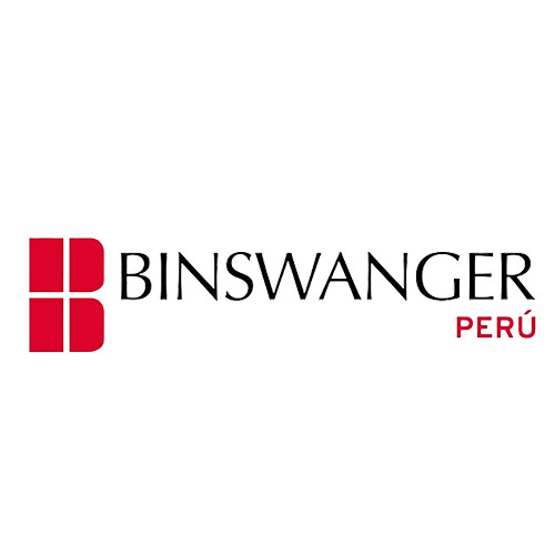 BINSWANGER PERÚ