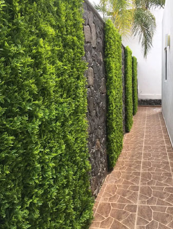 Muros Verdes