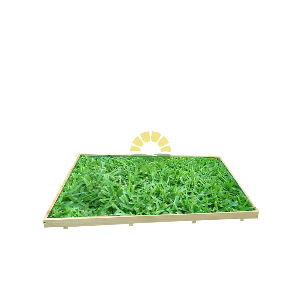 BAÑO DE GRAS NATURAL PARA PERROS